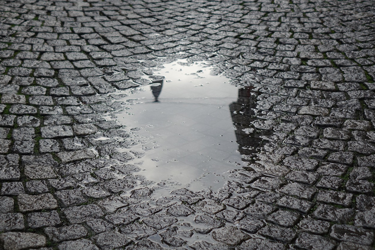 A Rainy Afternoon in a City You Do Not Know