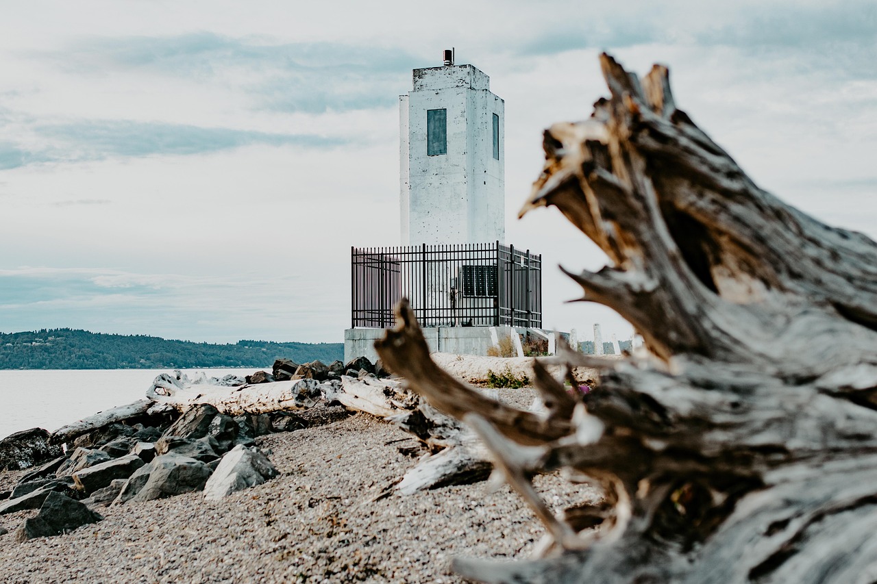 How to Photograph Driftwood in Flat, Grey Light