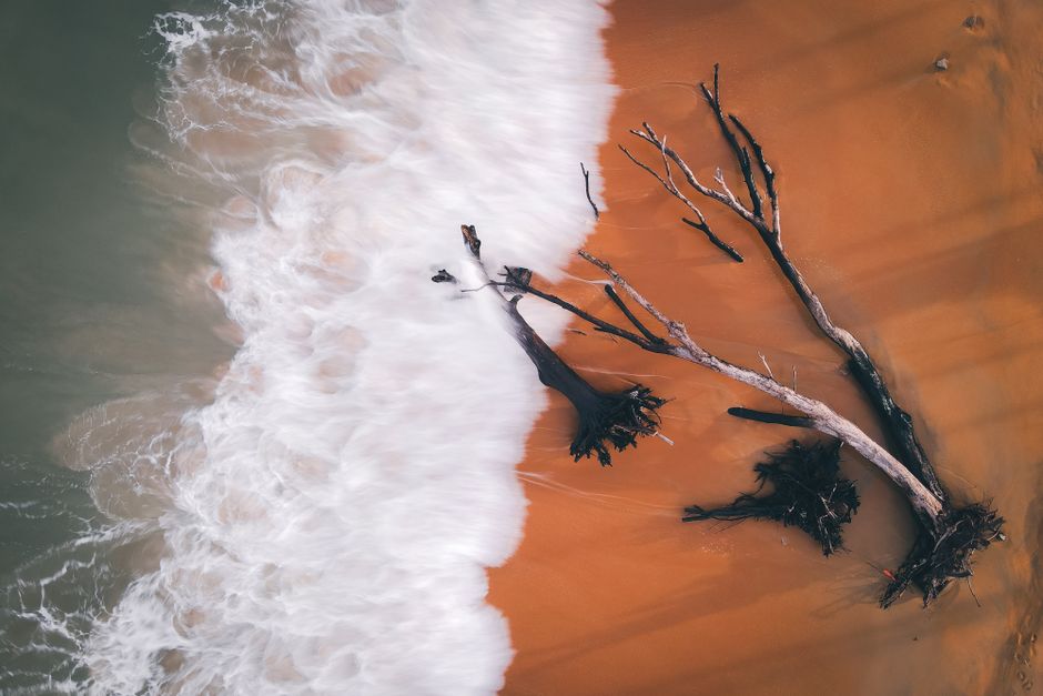 The Tide Line as a Gallery: Finding Beauty in What the Sea Rejects