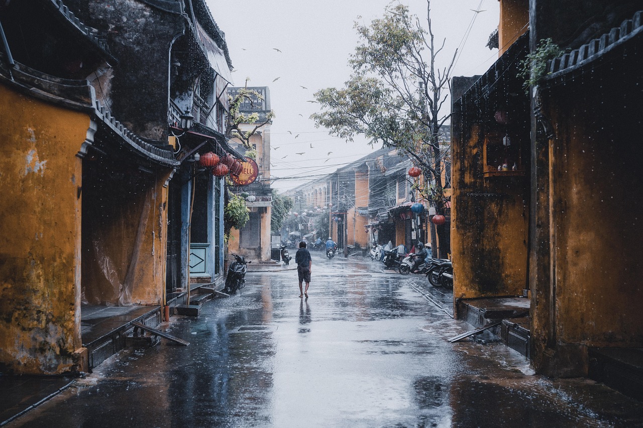 What the Rain Reveals: A Walking Meditation for Wet Pavements